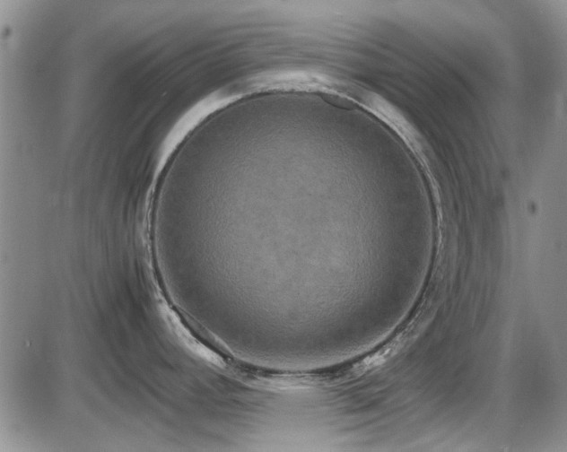 X0000087541392200704271221