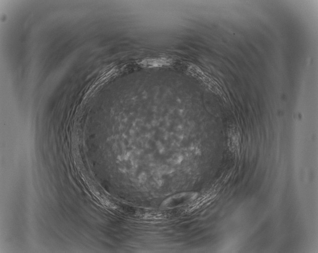 X0000087541393200704271220