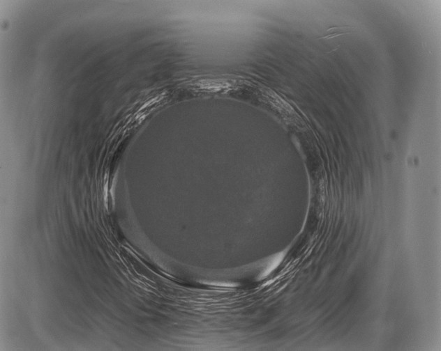 X0000087541394200704271220