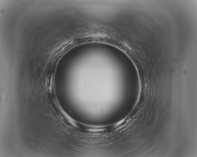 X0000087541398200704271220