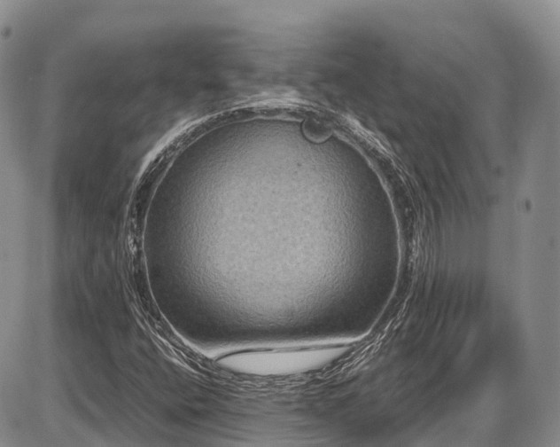 X0000087541400200704271220