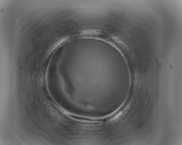 X0000087541401200704271220