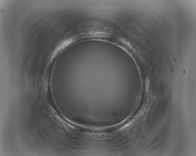 X0000087541405200704271220