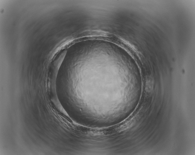 X0000087541407200704271220