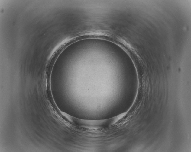X0000087541408200704271220