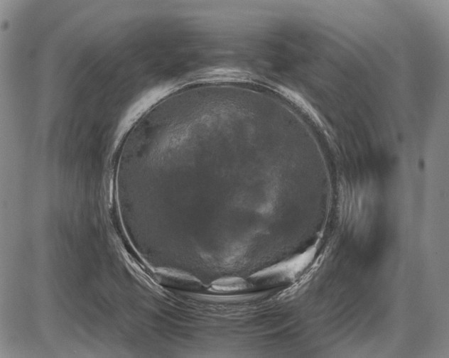 X0000087541413200704271220