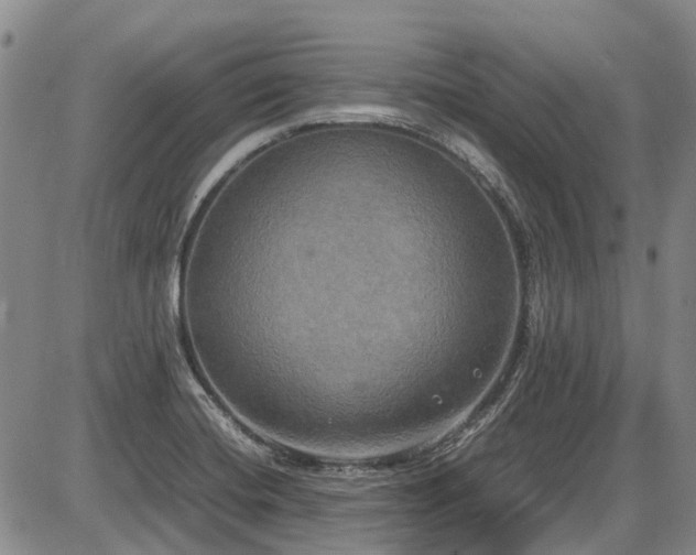X0000087541420200704271220