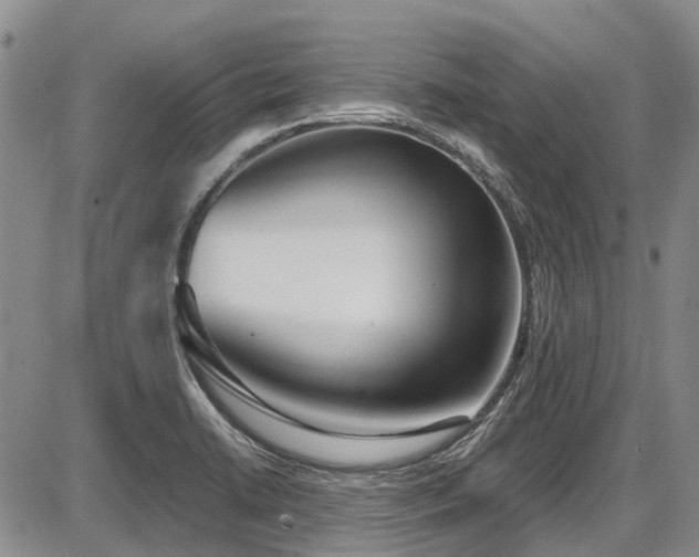 X0000087541422200704271221