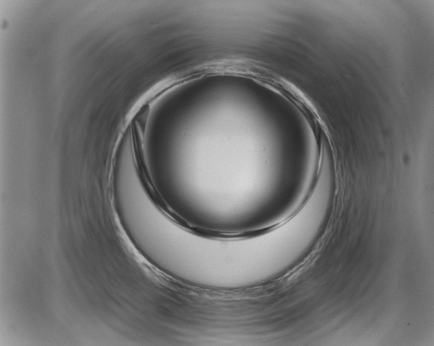 X0000087541434200704271221