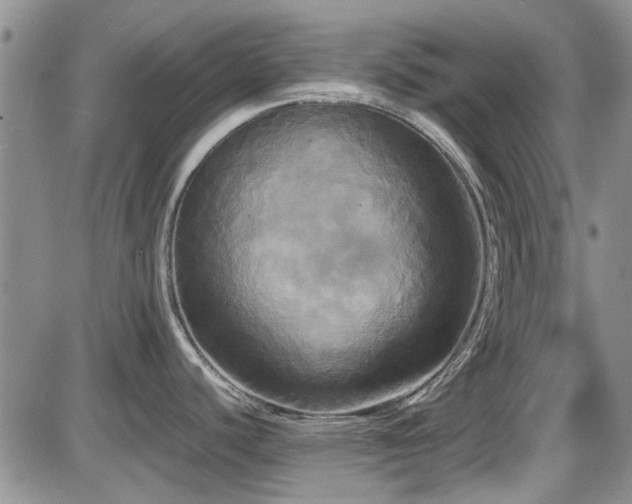 X0000087541440200704271221