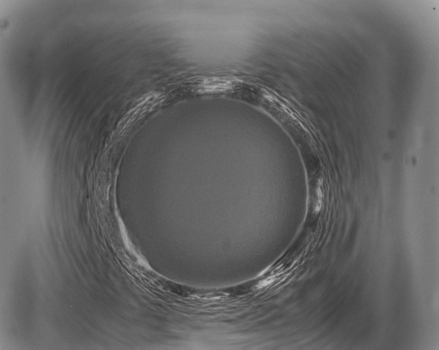 X0000087541441200704271220
