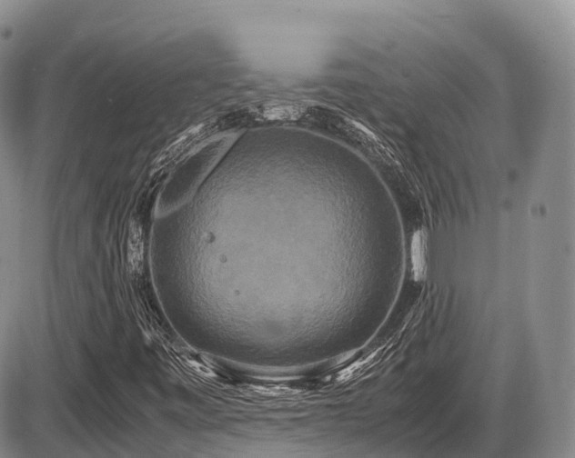 X0000087541443200704271220