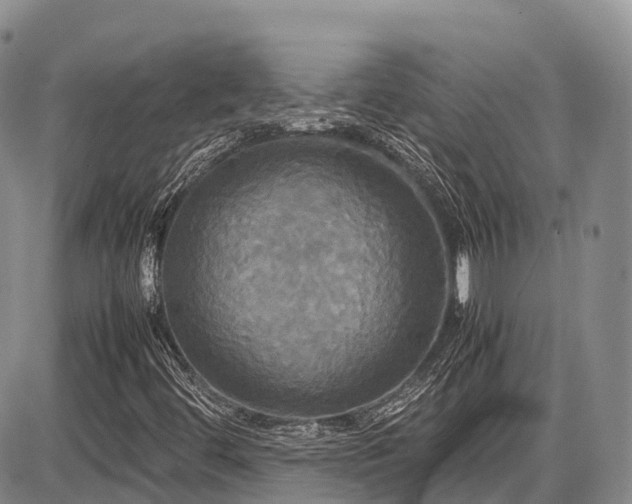 X0000087541444200704271220