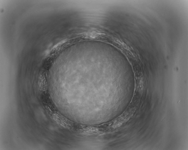 X0000087541446200704271220