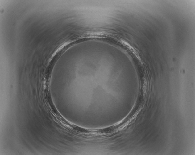 X0000087541449200704271220