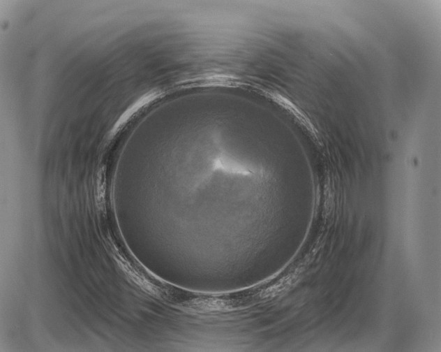 X0000087541450200704271220