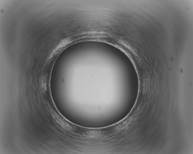 X0000087541451200704271220