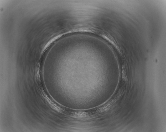 X0000087541452200704271220