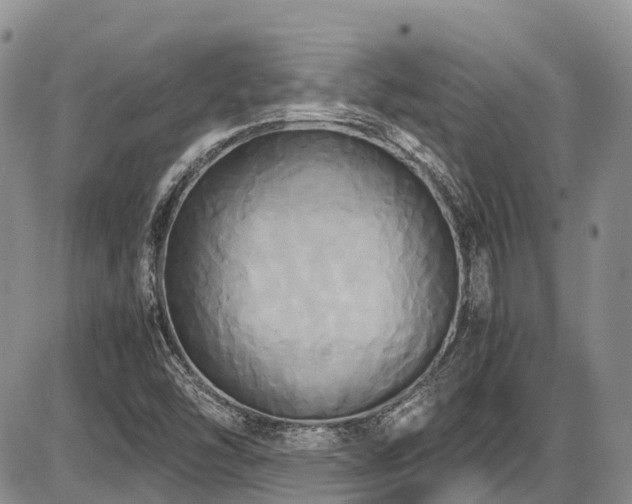 X0000087541454200704271220