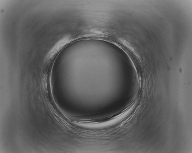 X0000087541455200704271220