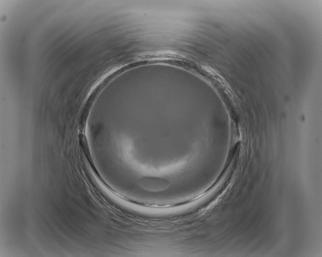 X0000087541457200704271220