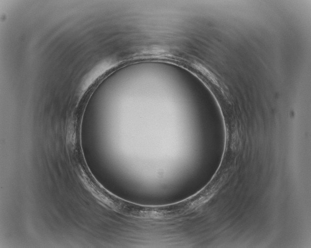 X0000087541458200704271220