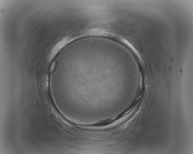 X0000087541461200704271220
