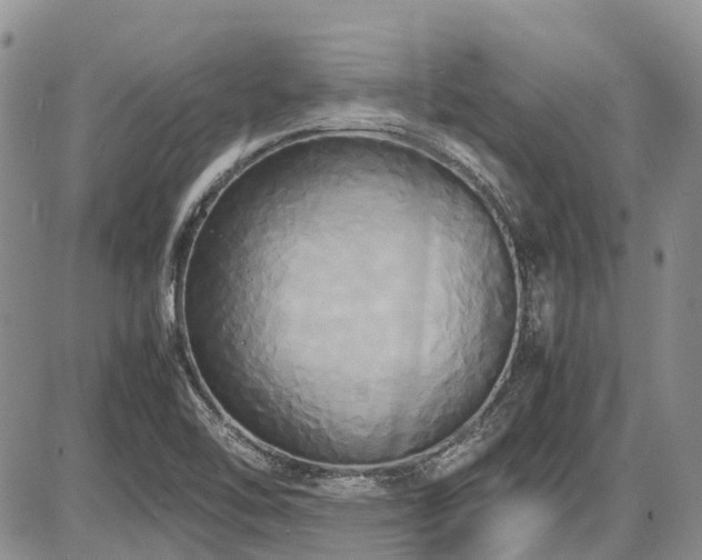 X0000087541462200704271220