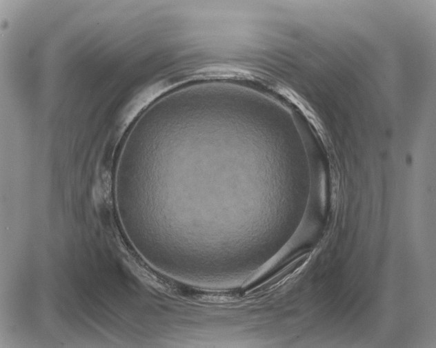 X0000087541465200704271220