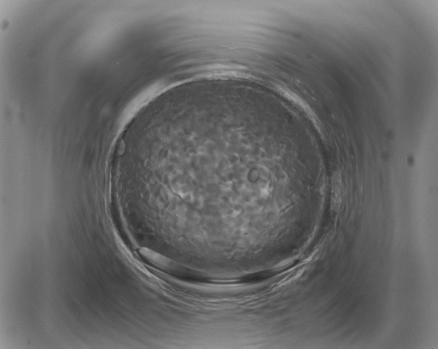 X0000087541467200704271220