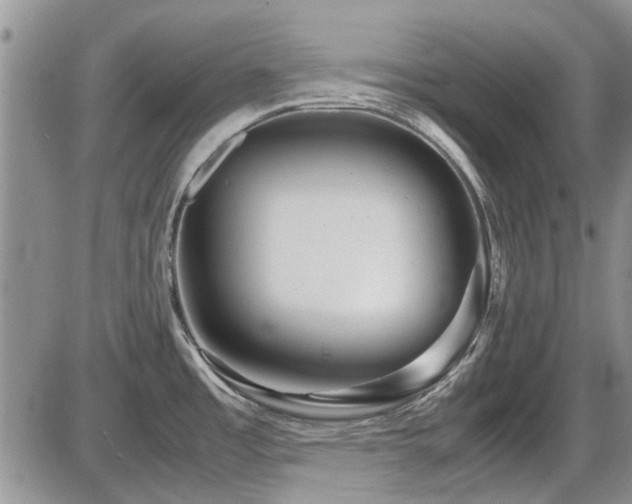 X0000087541485200704271219