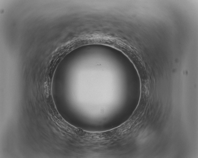 X0000087541493200704271219