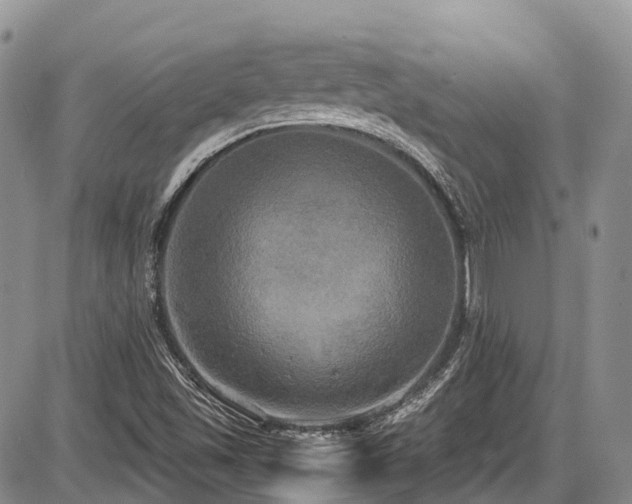 X0000087541501200704271219