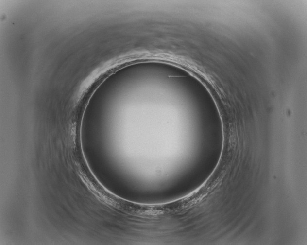 X0000087541503200704271219