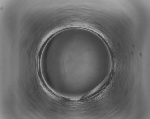 X0000087541515200704271219