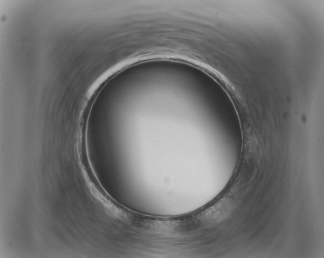 X0000087541518200704271219