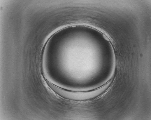 X0000087541534200704271219