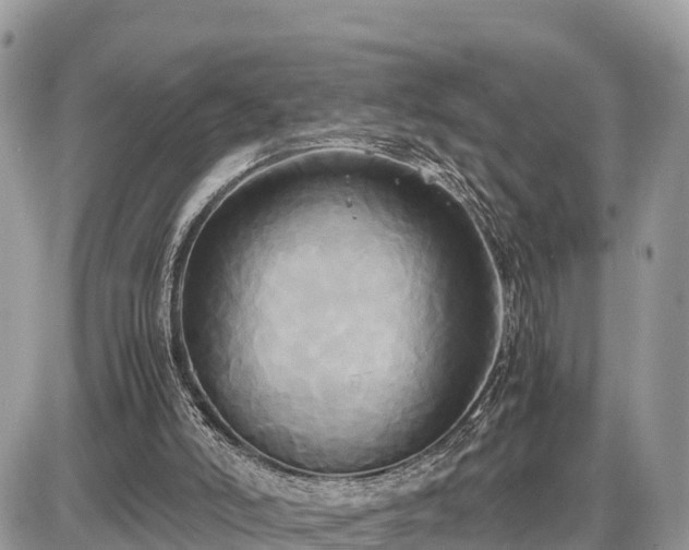 X0000087540006200705041314