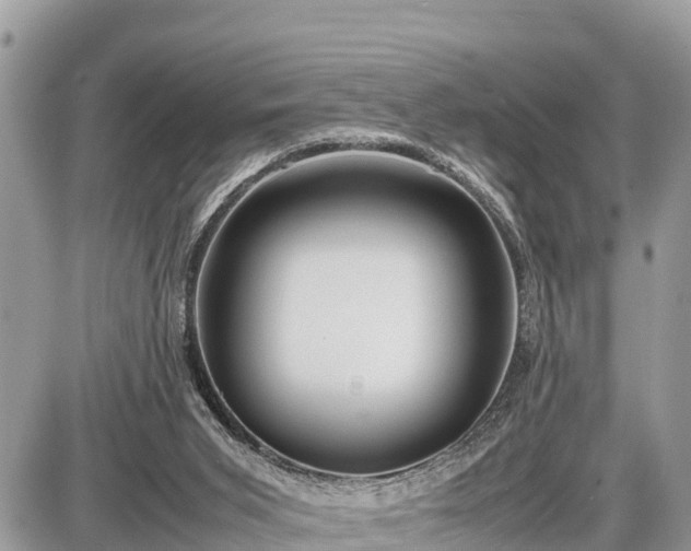 X0000087540015200705041314