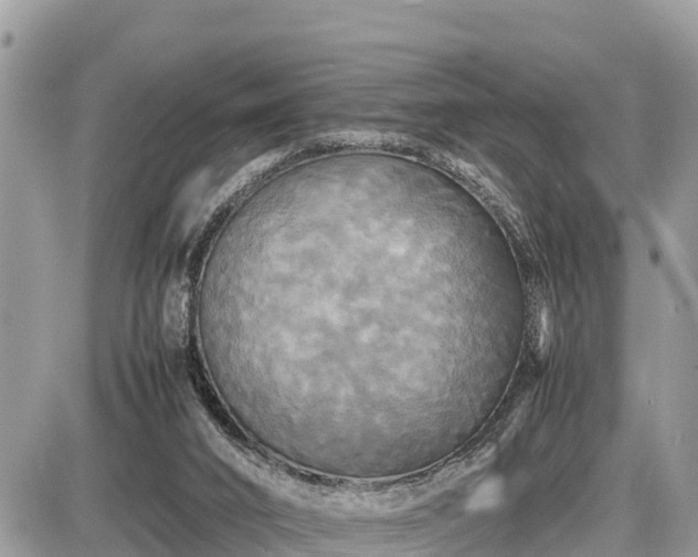 X0000087540016200705041314