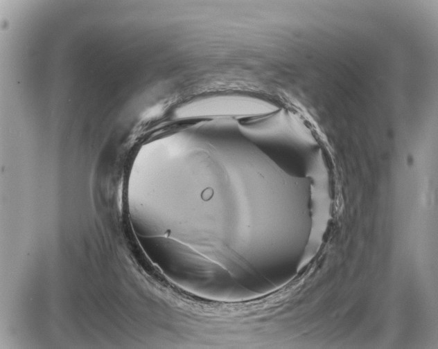 X0000087540019200705041314