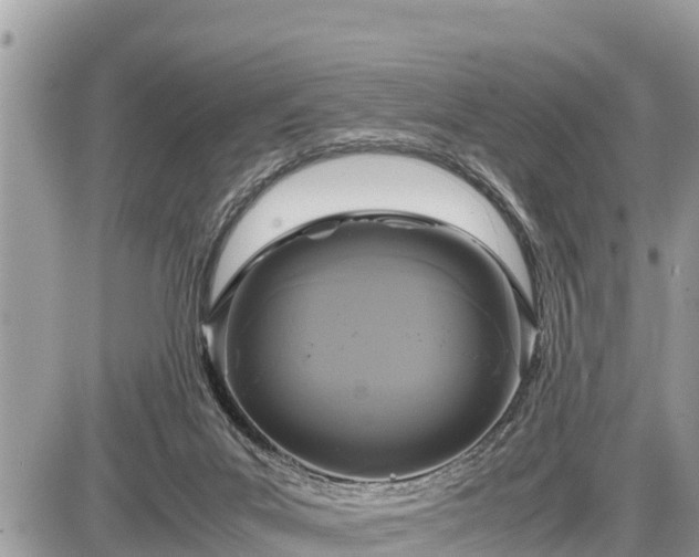 X0000087540023200705041314