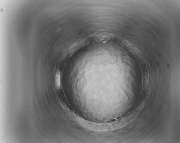 X0000087540042200705041314