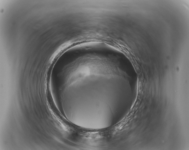 X0000087540054200705041313