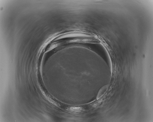 X0000087540055200705041313