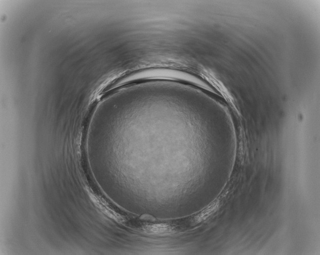 X0000087540058200705041313