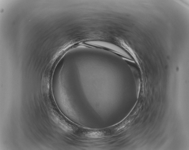 X0000087540059200705041313