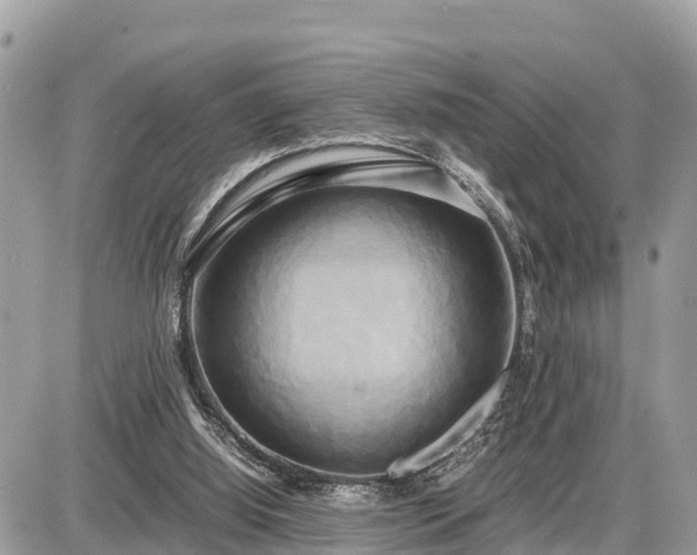 X0000087540060200705041313