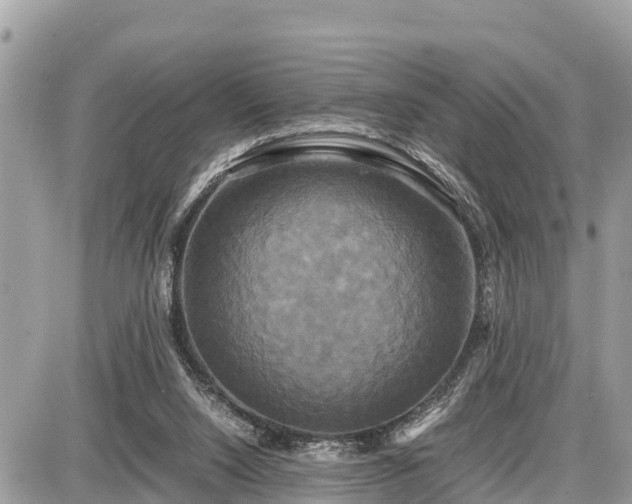 X0000087540064200705041313