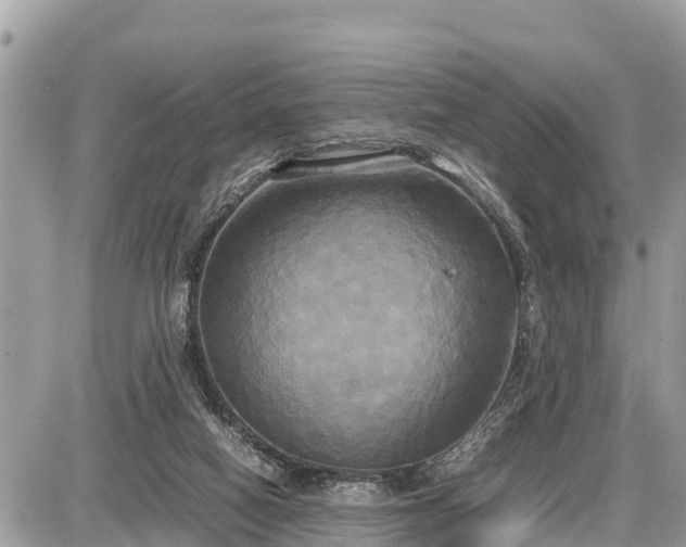 X0000087540066200705041313